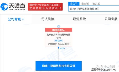 映客全資收購海南廣翔網(wǎng)絡(luò)，深化數(shù)字文化創(chuàng)意內(nèi)容布局